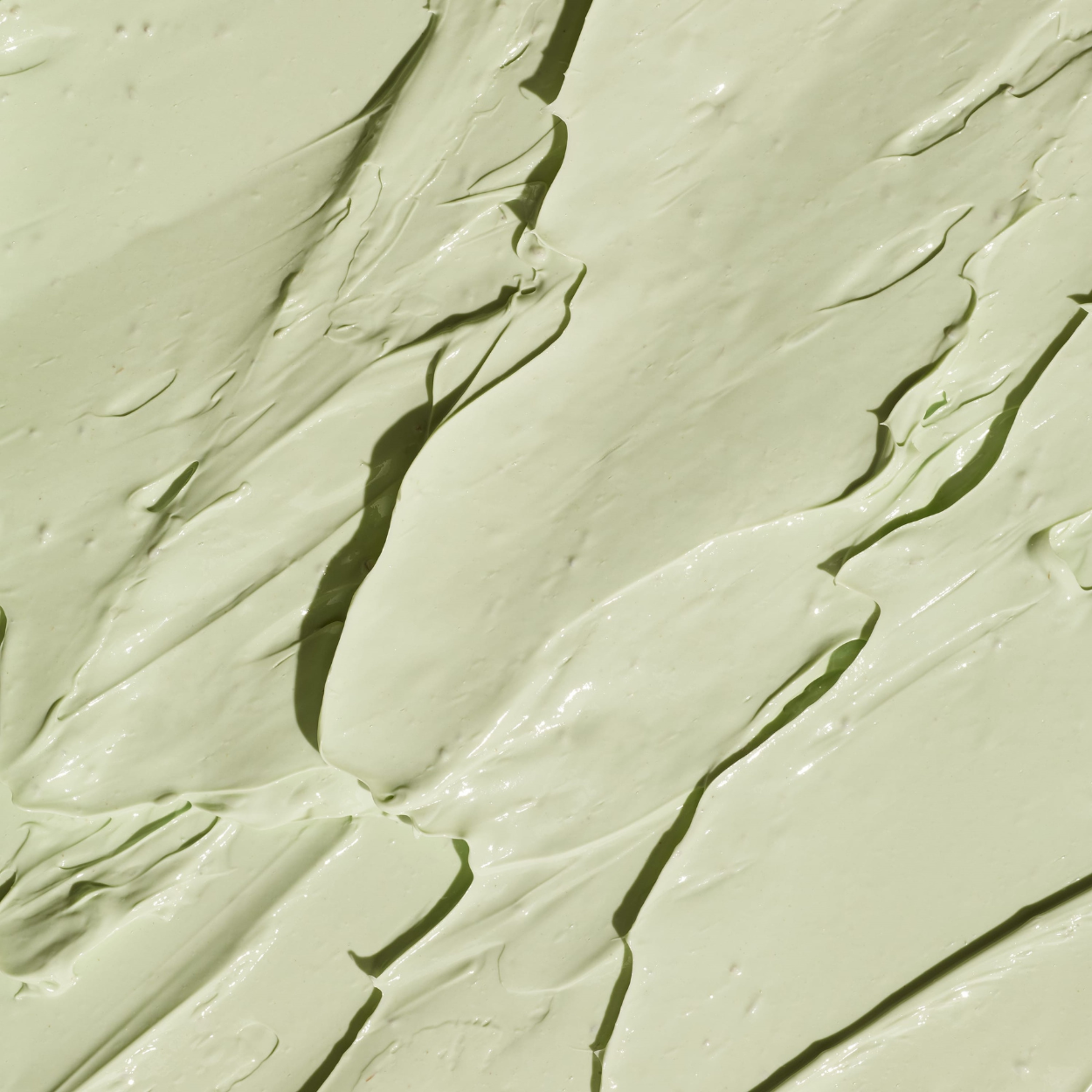 Close-up of greenish-brown textured surface