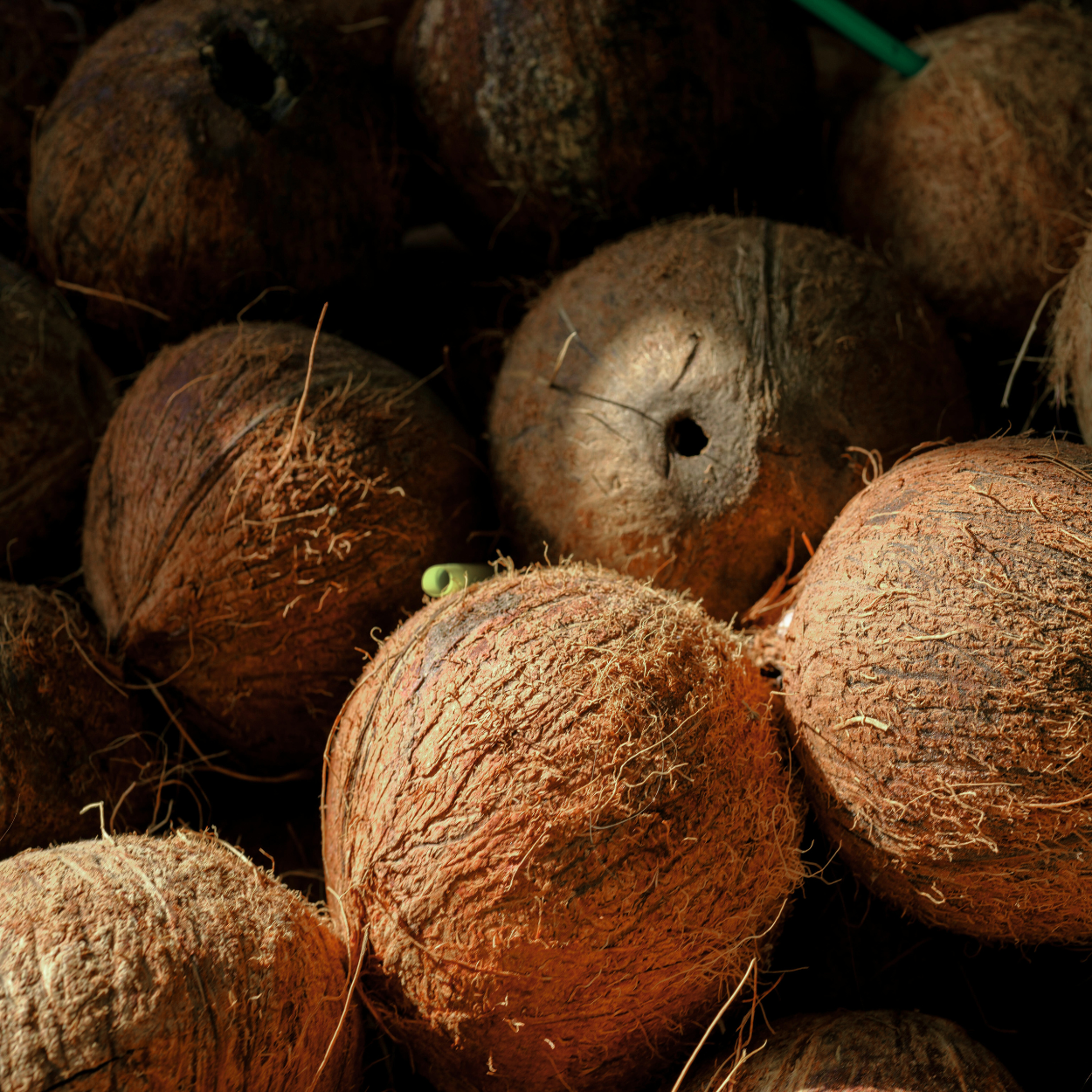 a pile of coconuts with a dark background