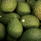 Avocado Oil