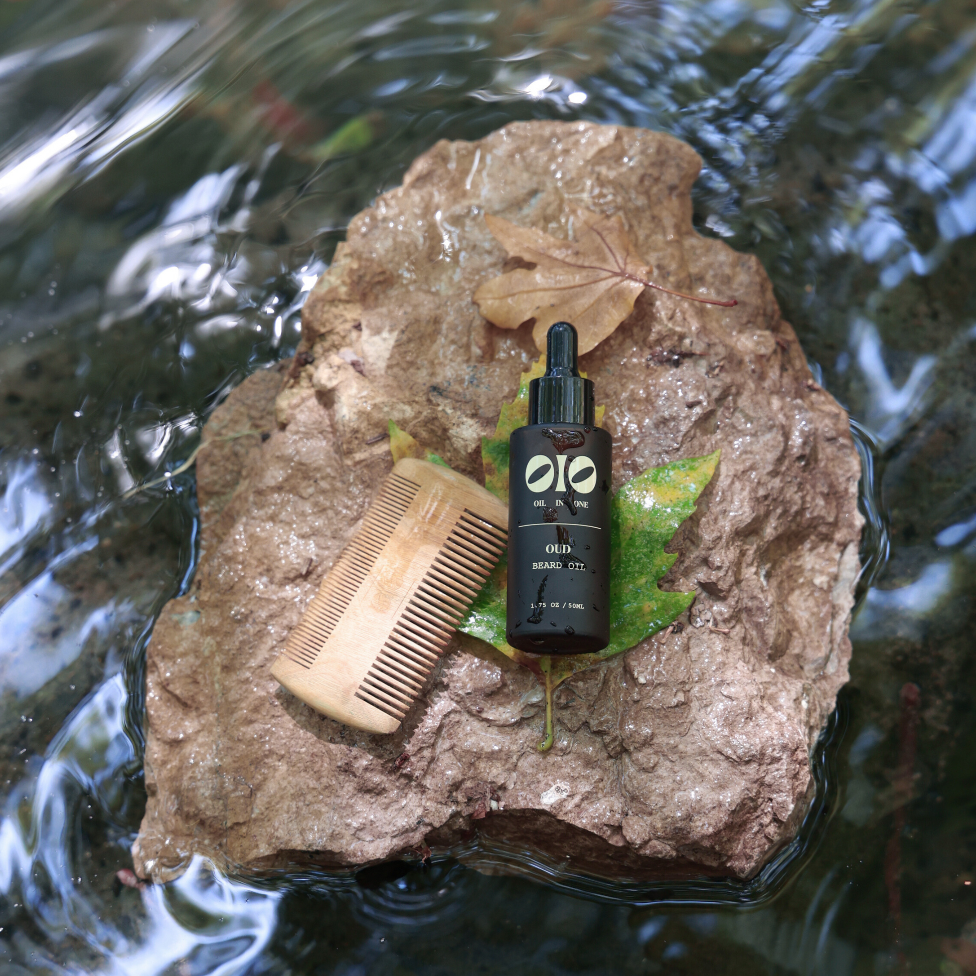 comb on a rock with leaves in water